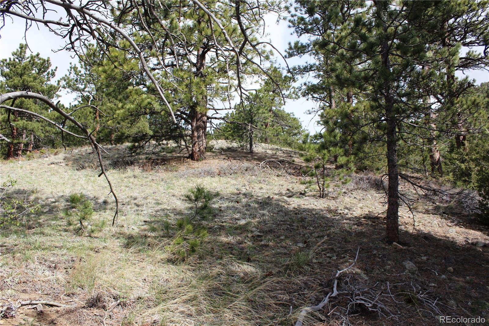 235 County Road 87