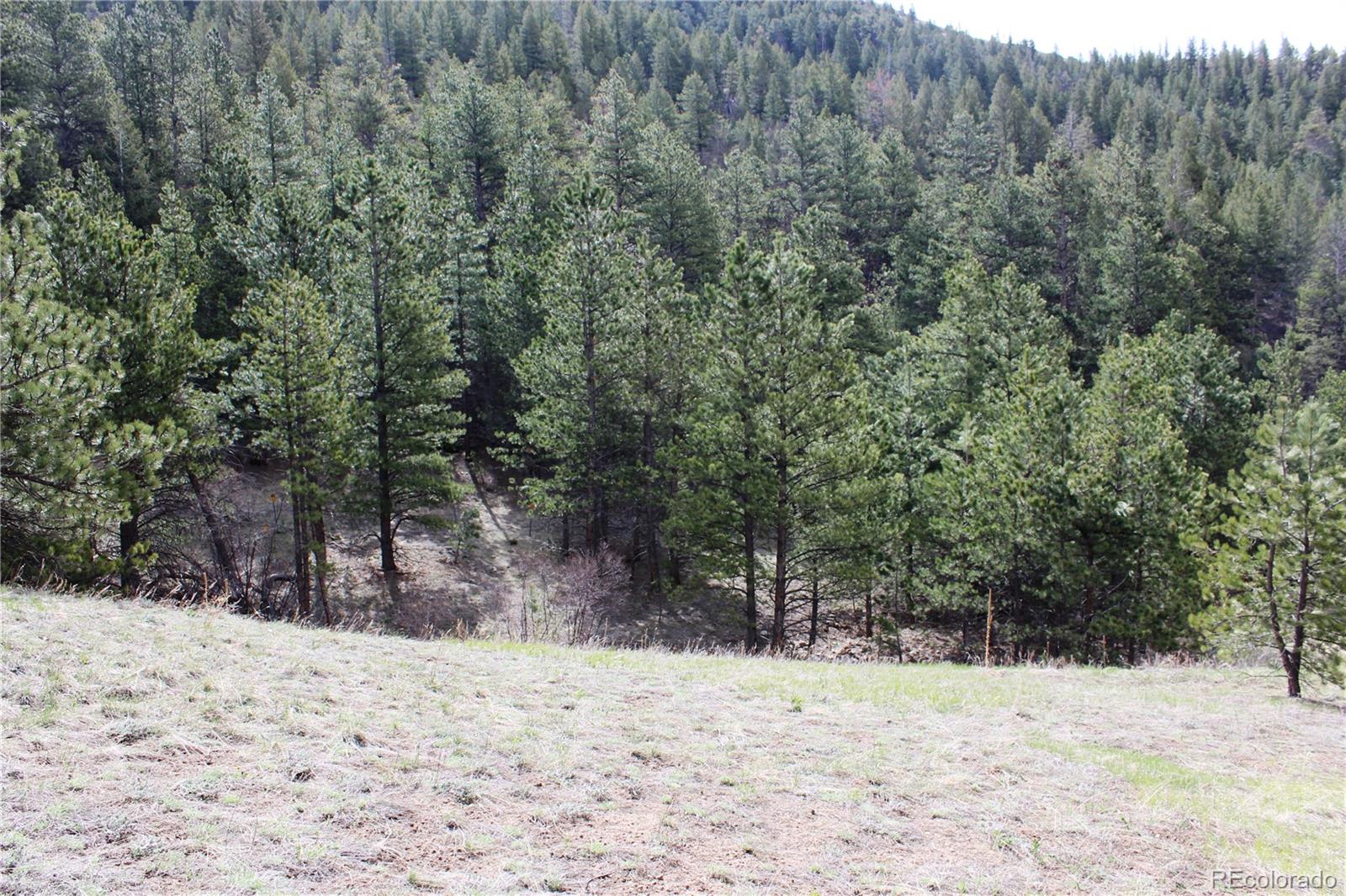 235 County Road 87