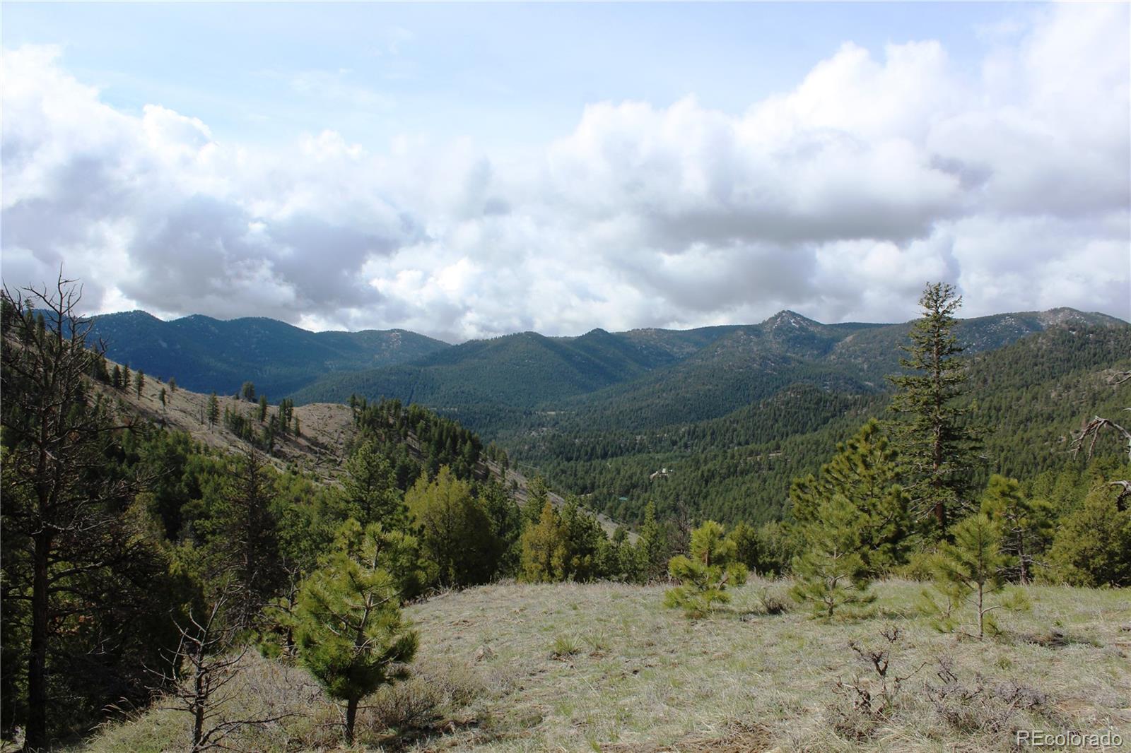 235 County Road 87