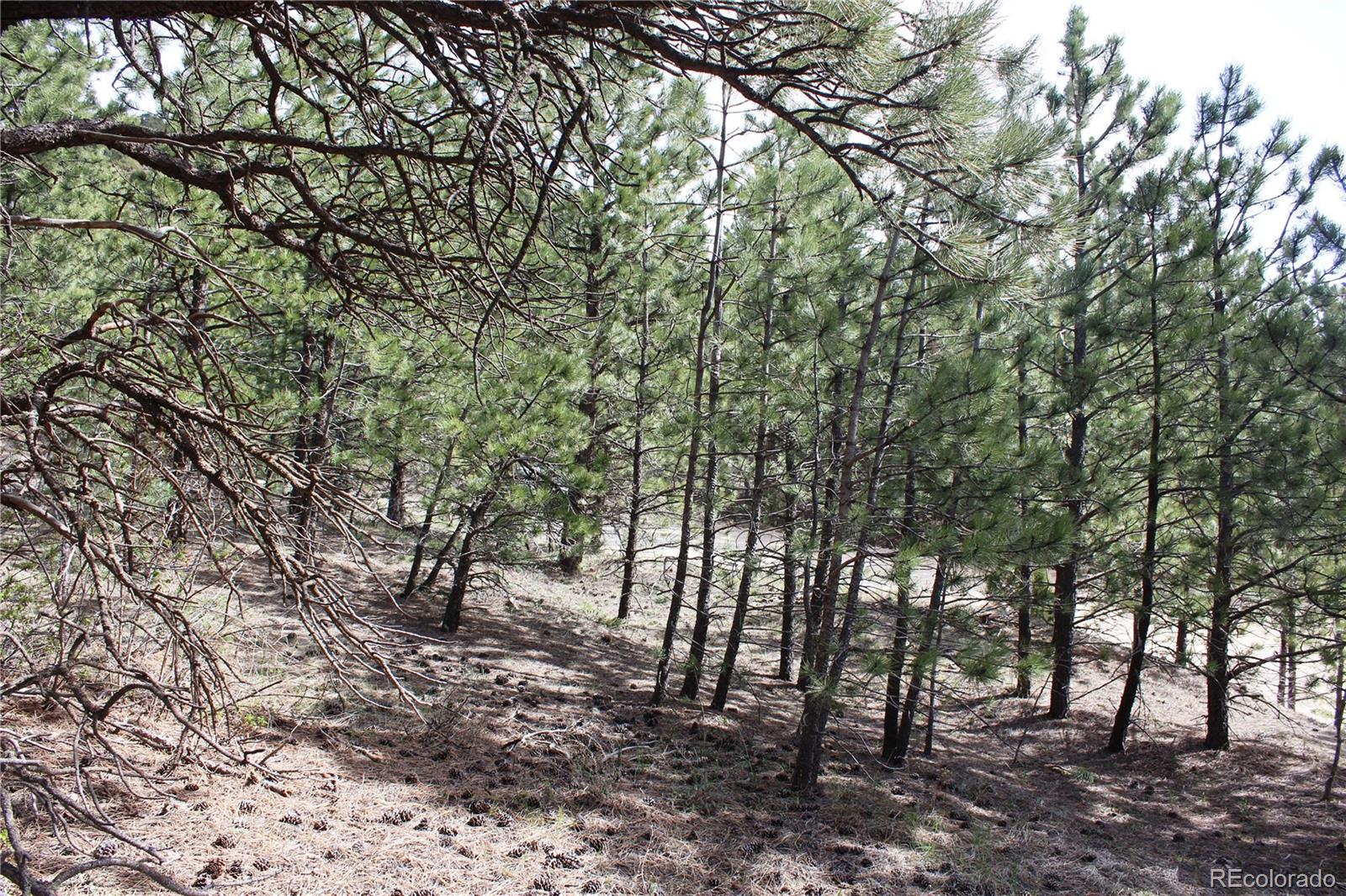 235 County Road 87