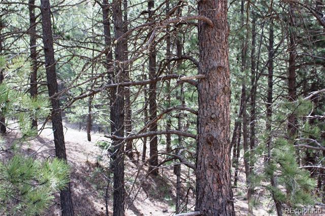235 County Road 87