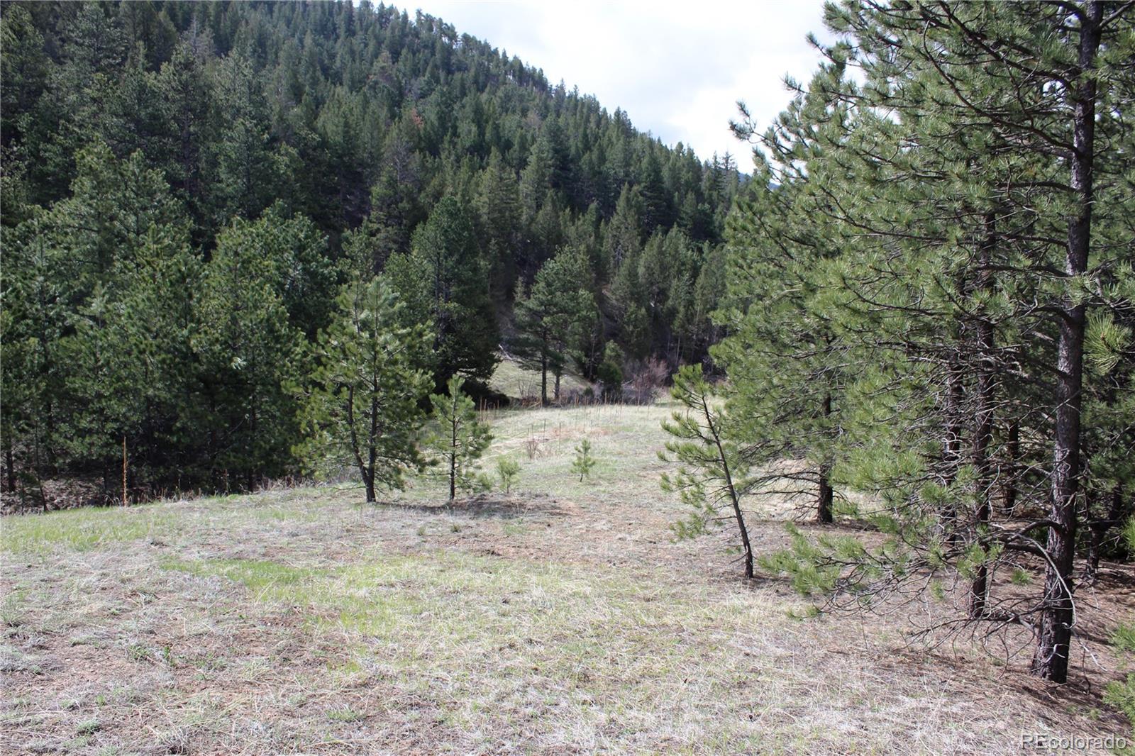235 County Road 87