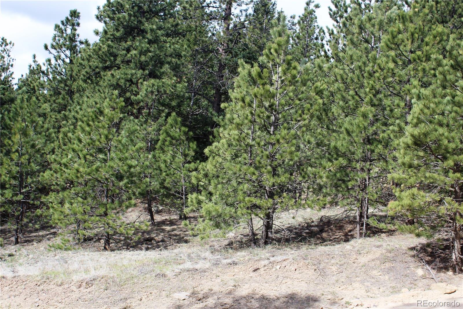 235 County Road 87