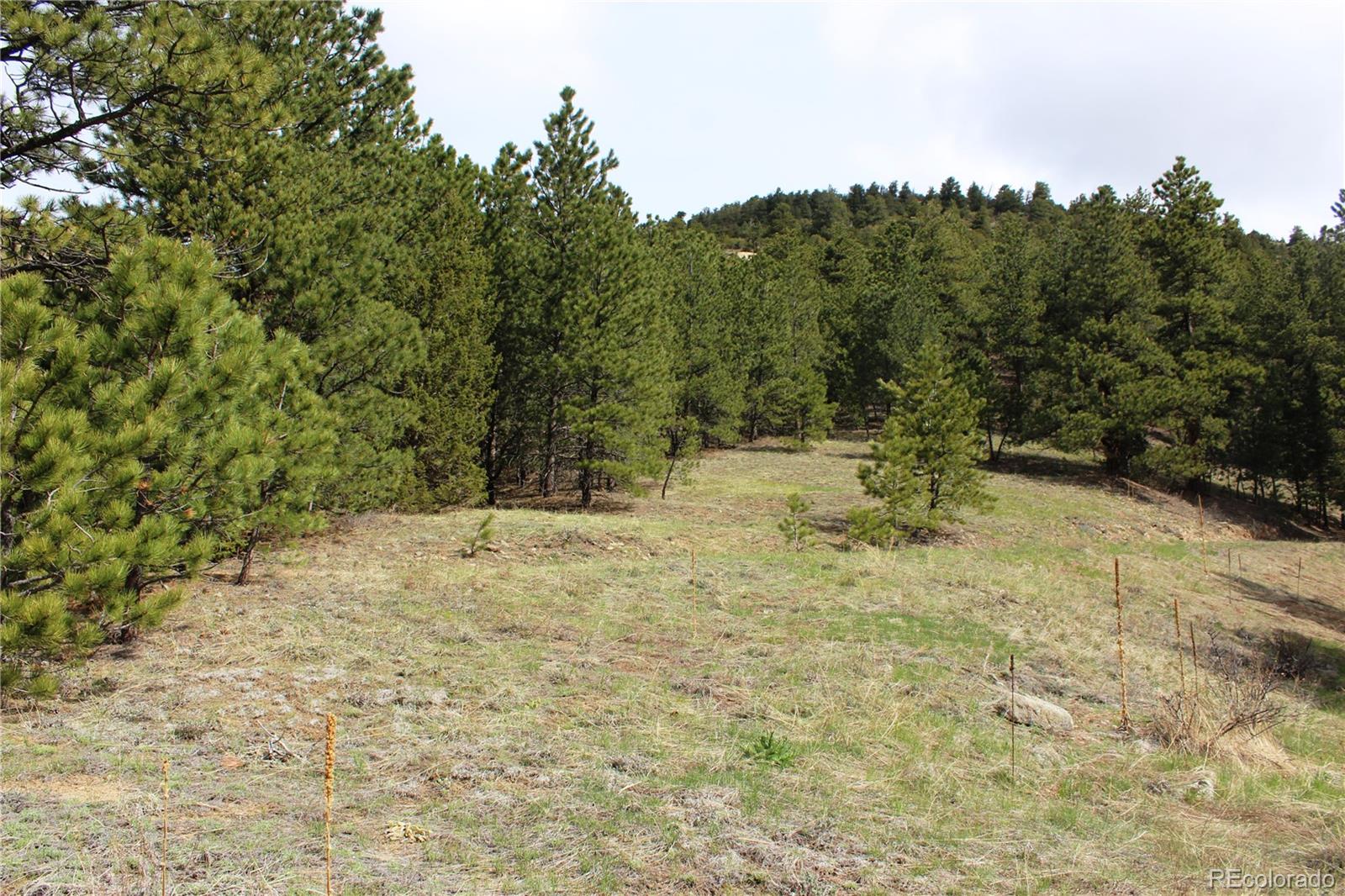 235 County Road 87