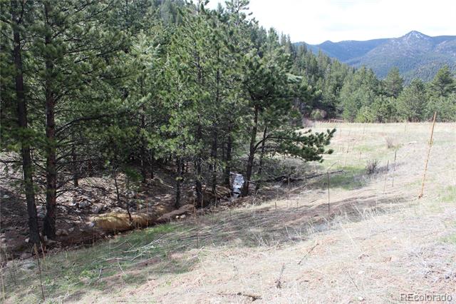 235 County Road 87