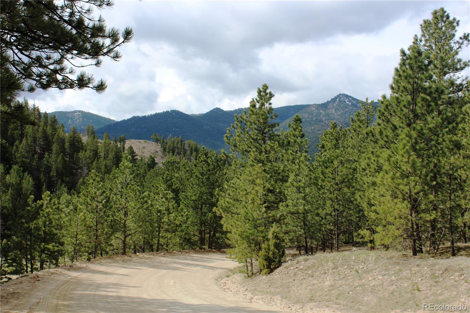235 County Road 87