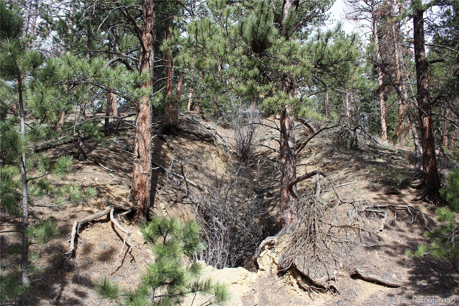 235 County Road 87