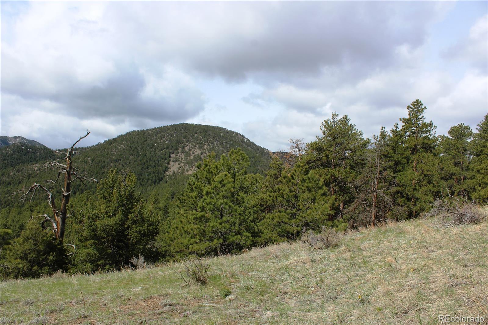 235 County Road 87