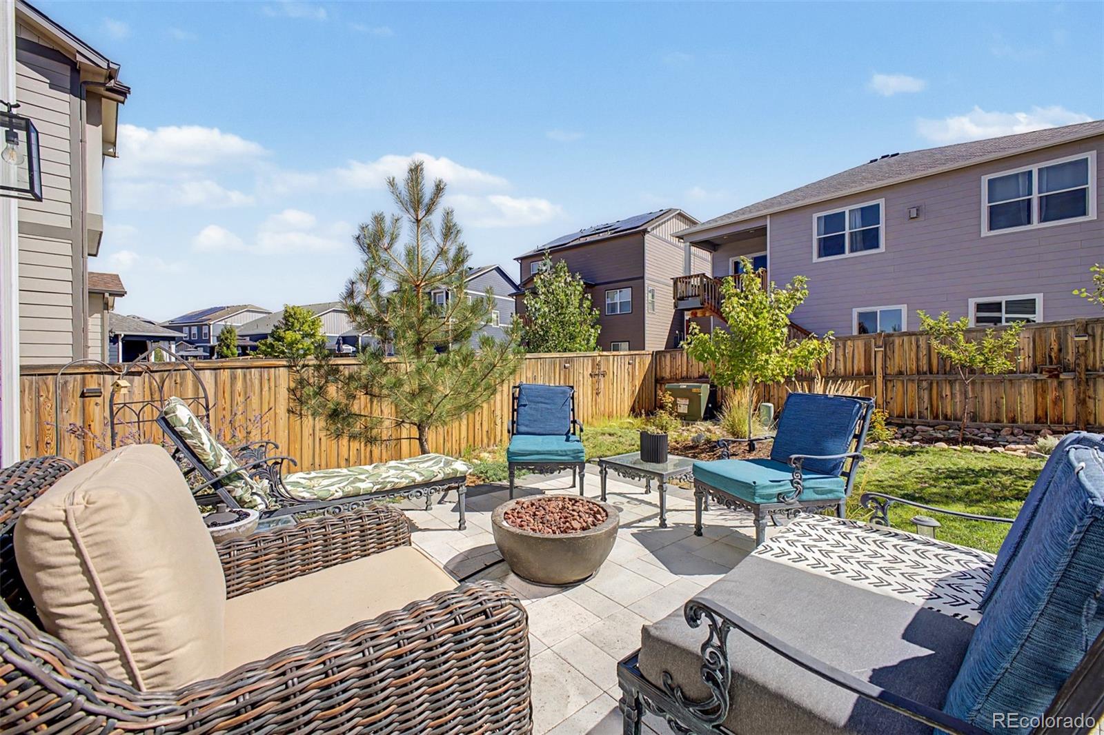 13994 Shasta Daisy Street