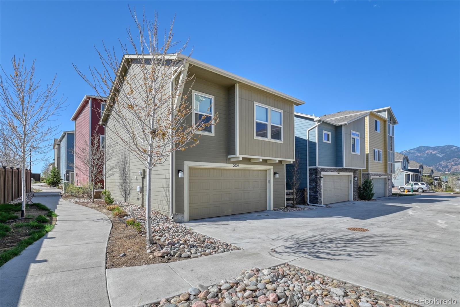 2025 Paddy Grove