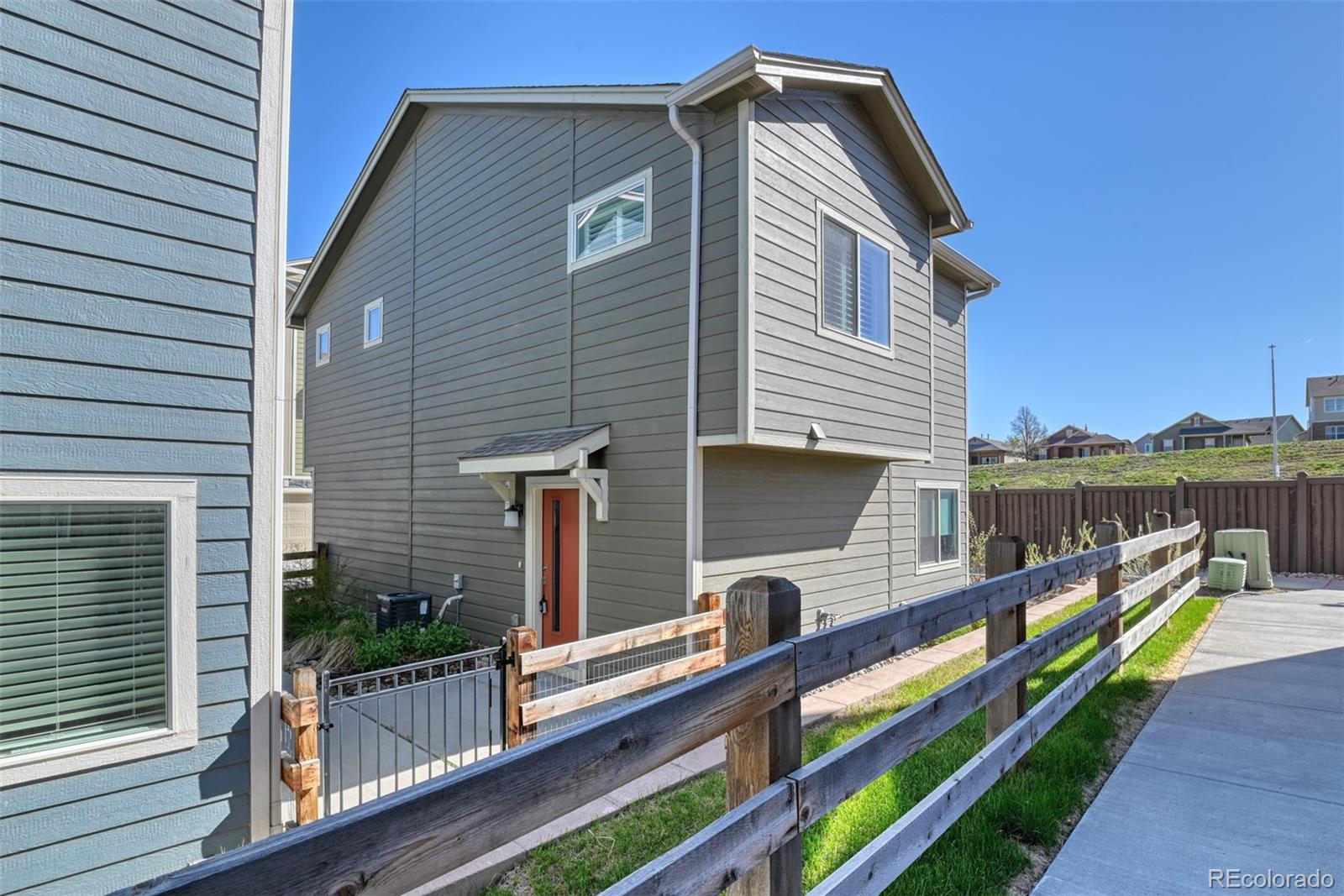 2025 Paddy Grove
