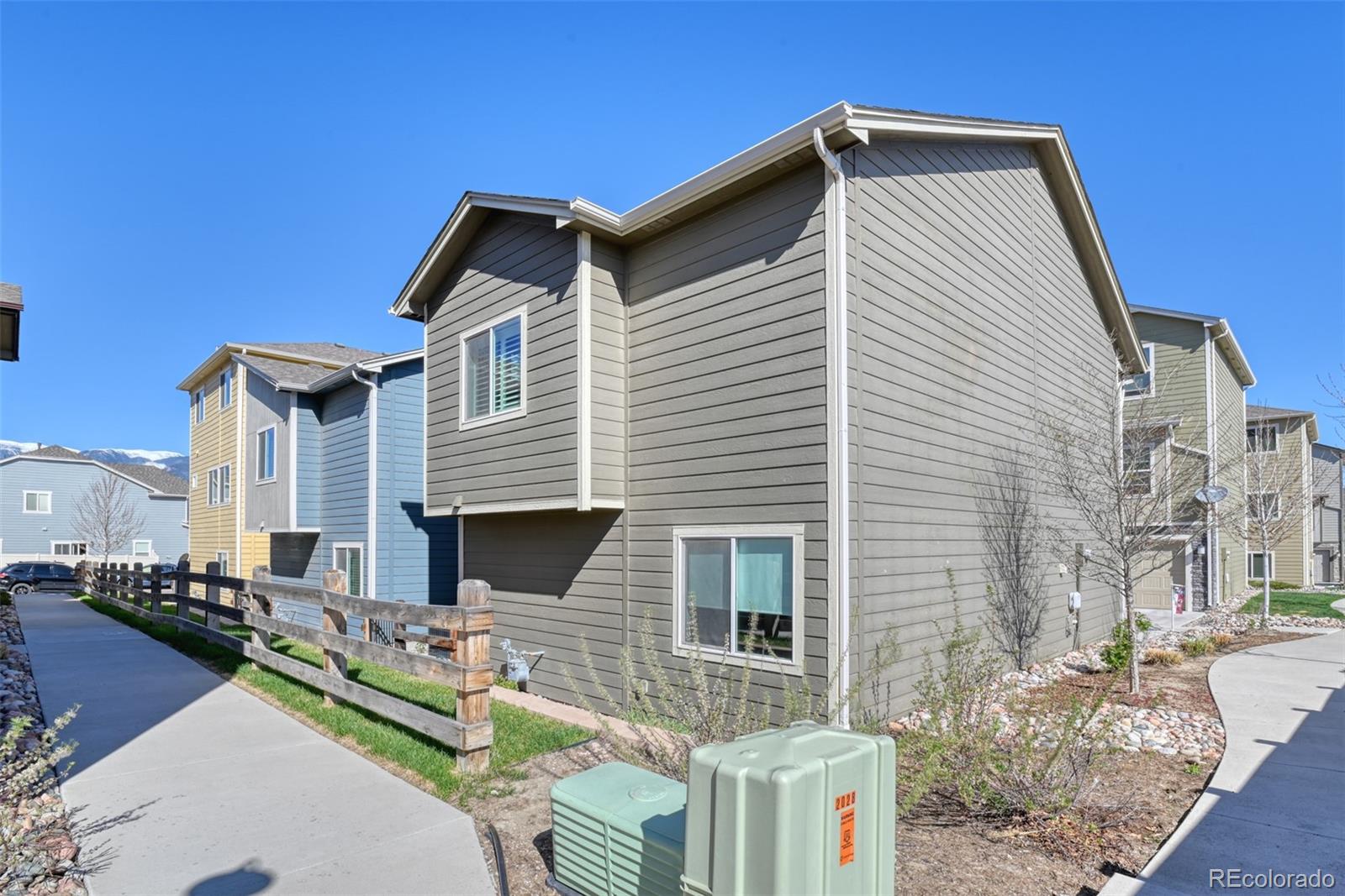 2025 Paddy Grove