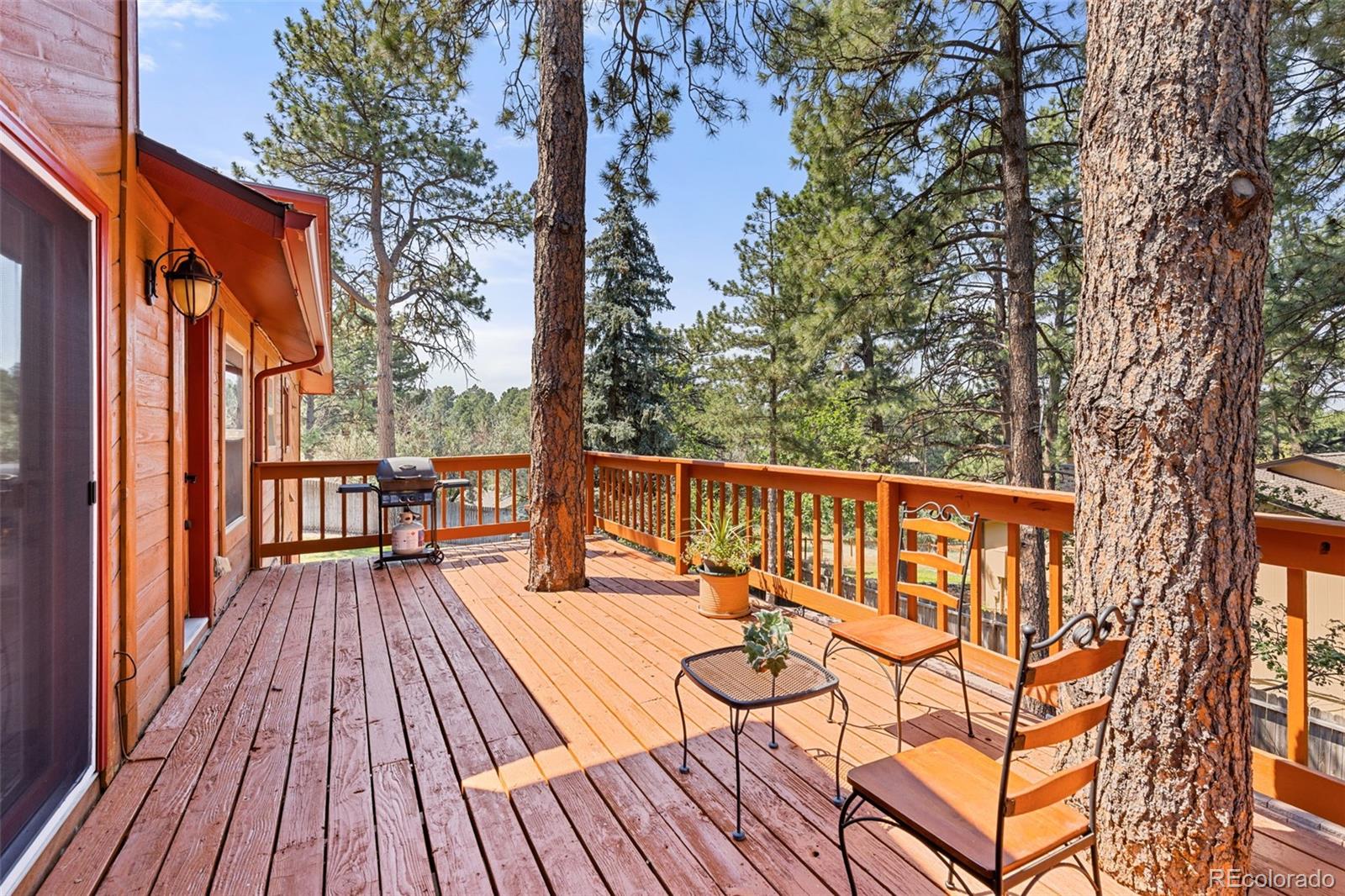 9434 Mcshane Court