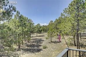 11720 Greentree Road
