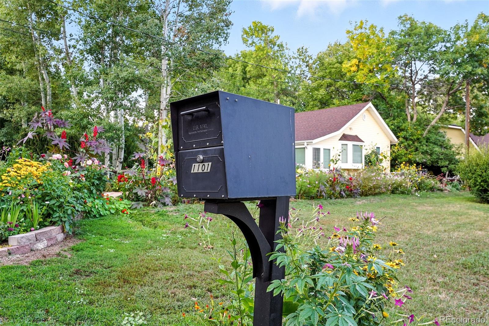 1101 Pikeview Street