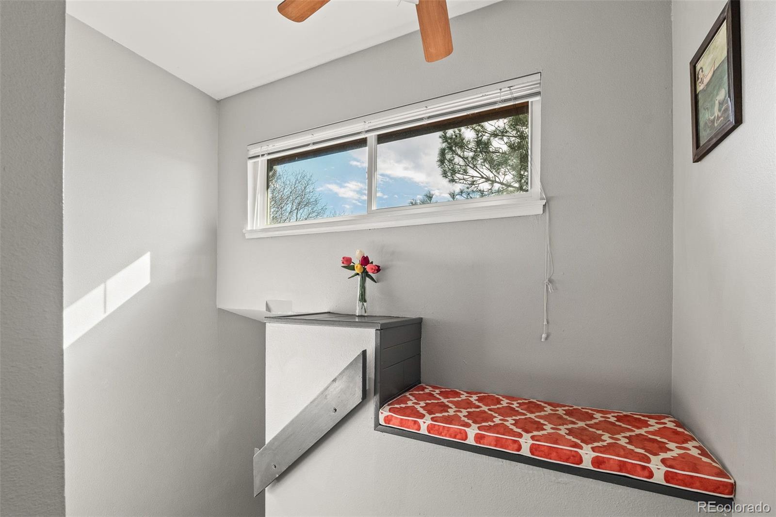 540 S Forest Street Unit: 6-203