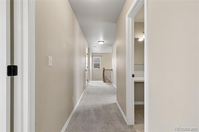 5011 Petrified Forest Trail