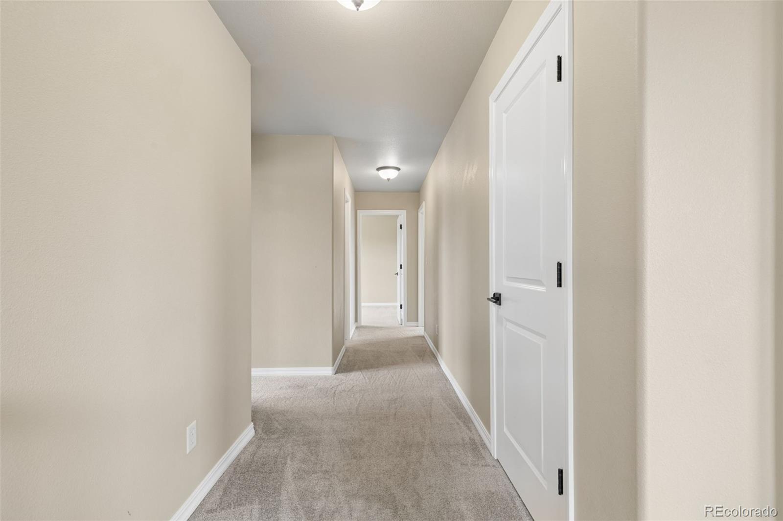 5011 Petrified Forest Trail