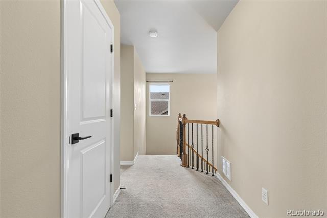 5011 Petrified Forest Trail
