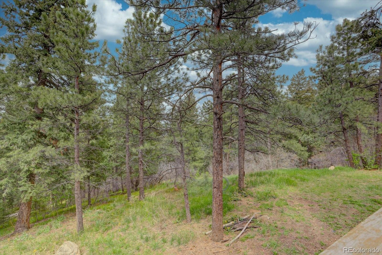 1200 Madge Gulch Road