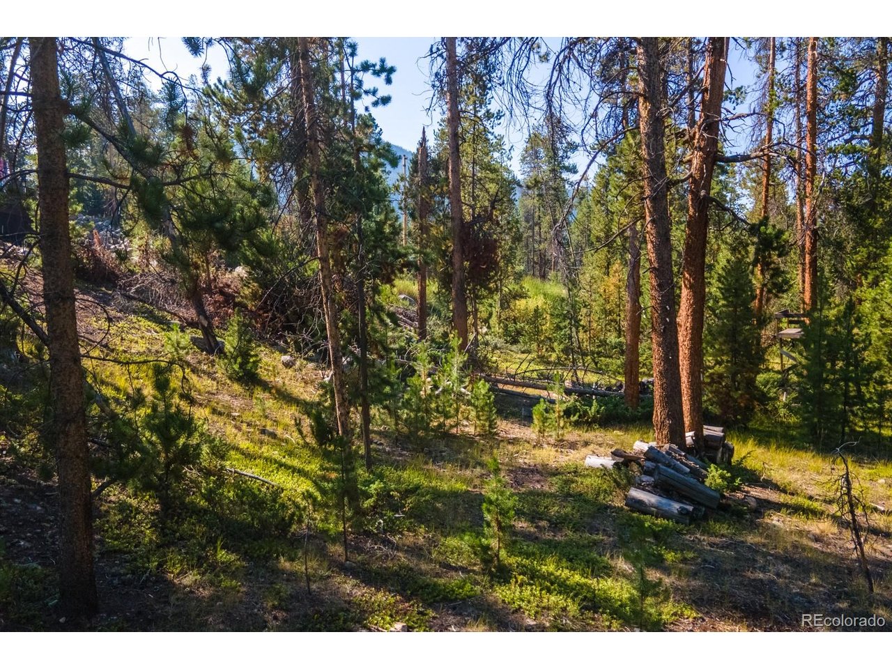 917 Tallaqua Dr