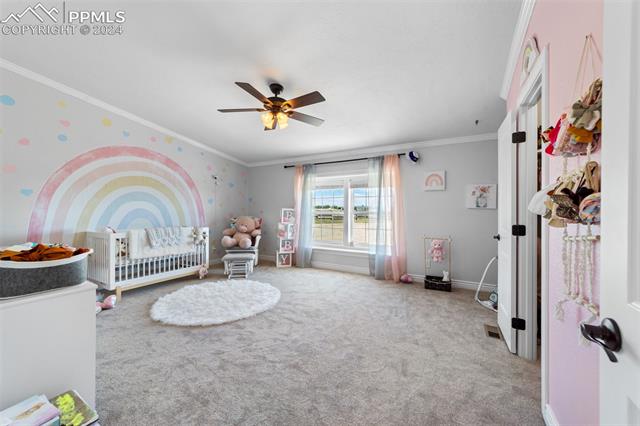 6442 Crebs Drive