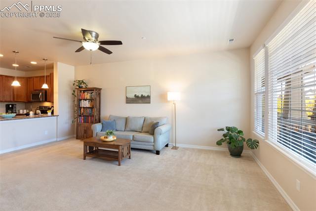 6467 Bluffmont Point