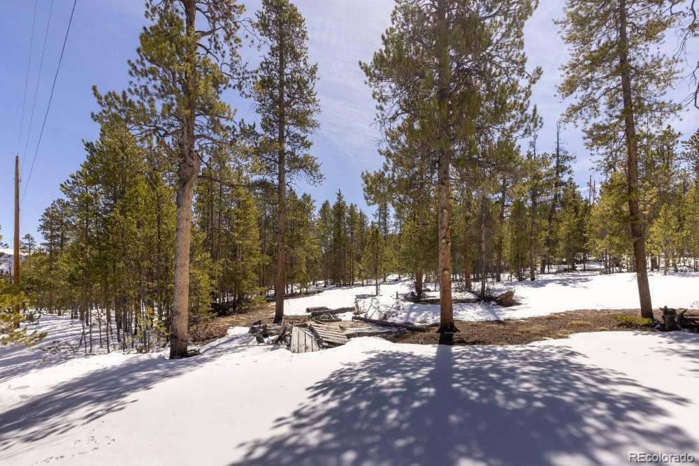 1033 Sequoia Drive
