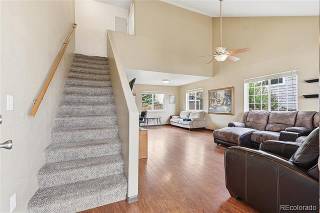 4203 Divide Drive