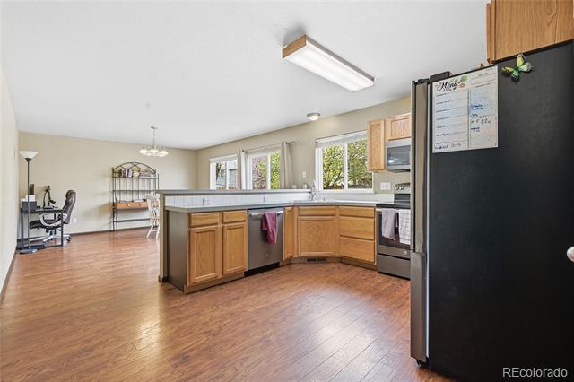 4203 Divide Drive
