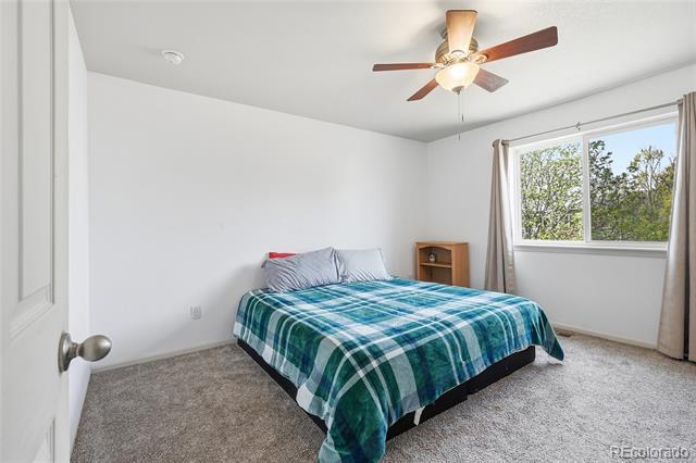 4203 Divide Drive