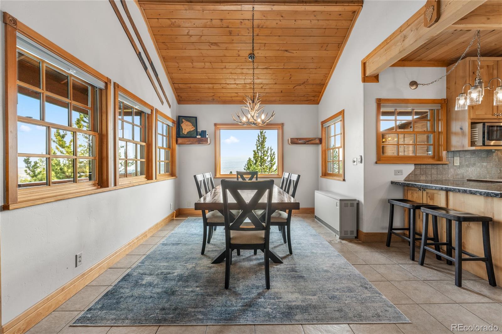 389 Mount Elbert Drive