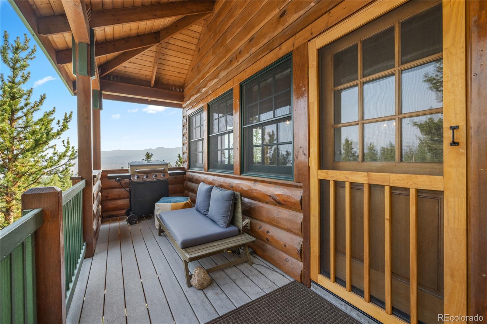 389 Mount Elbert Drive
