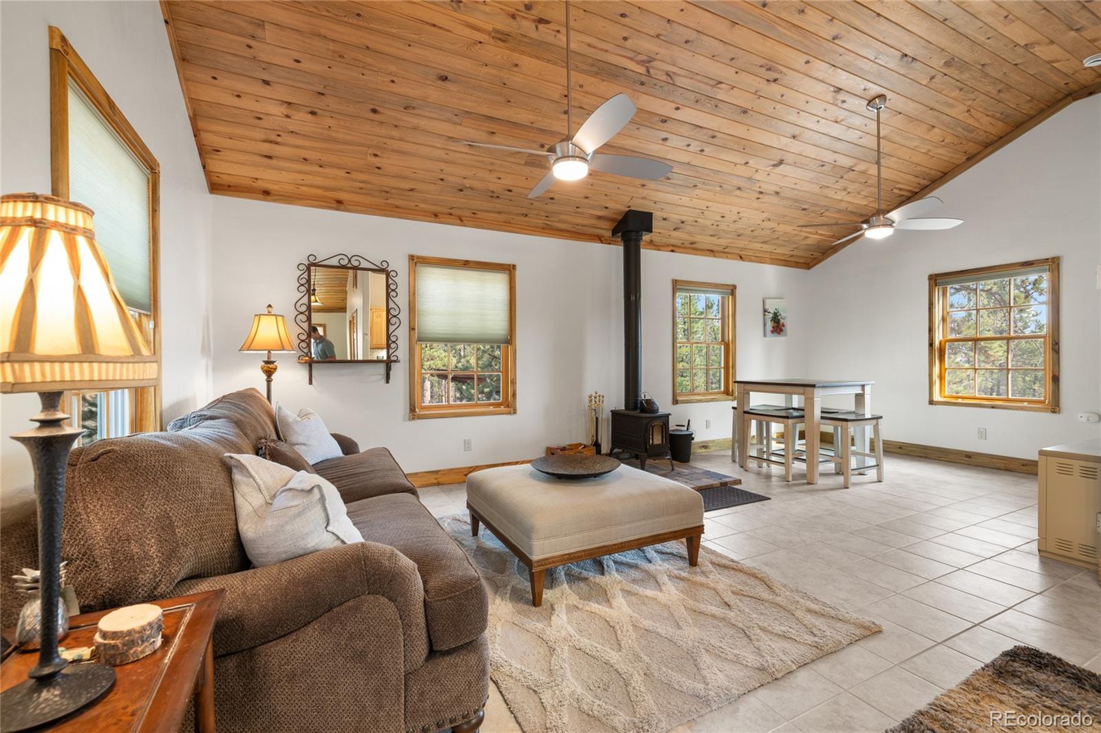 389 Mount Elbert Drive