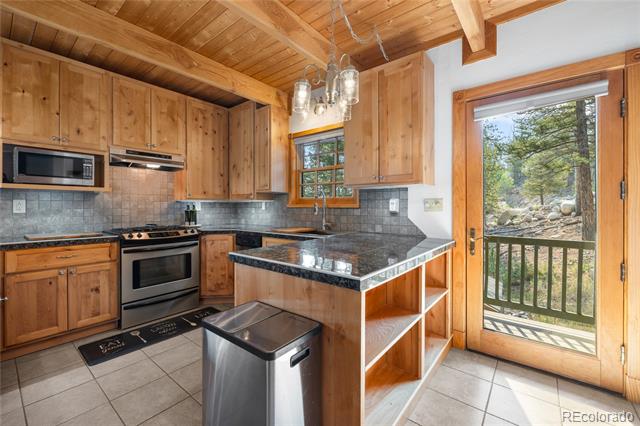 389 Mount Elbert Drive