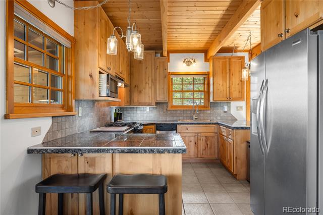 389 Mount Elbert Drive