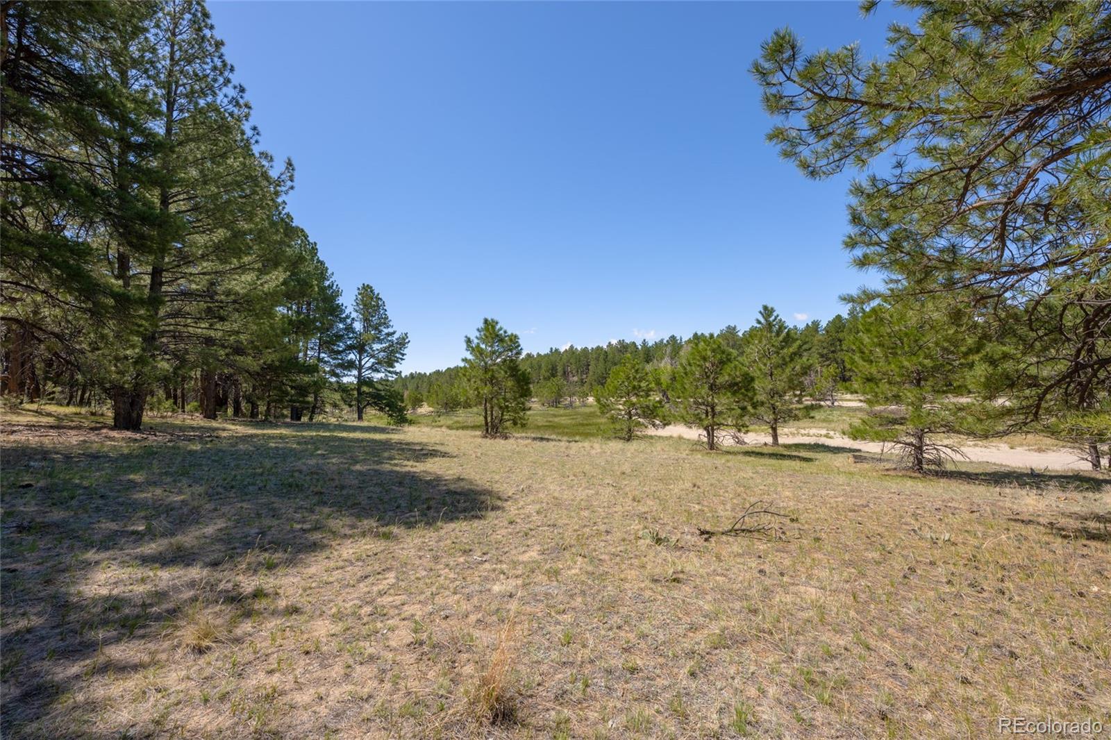 39832 Onyx Trail