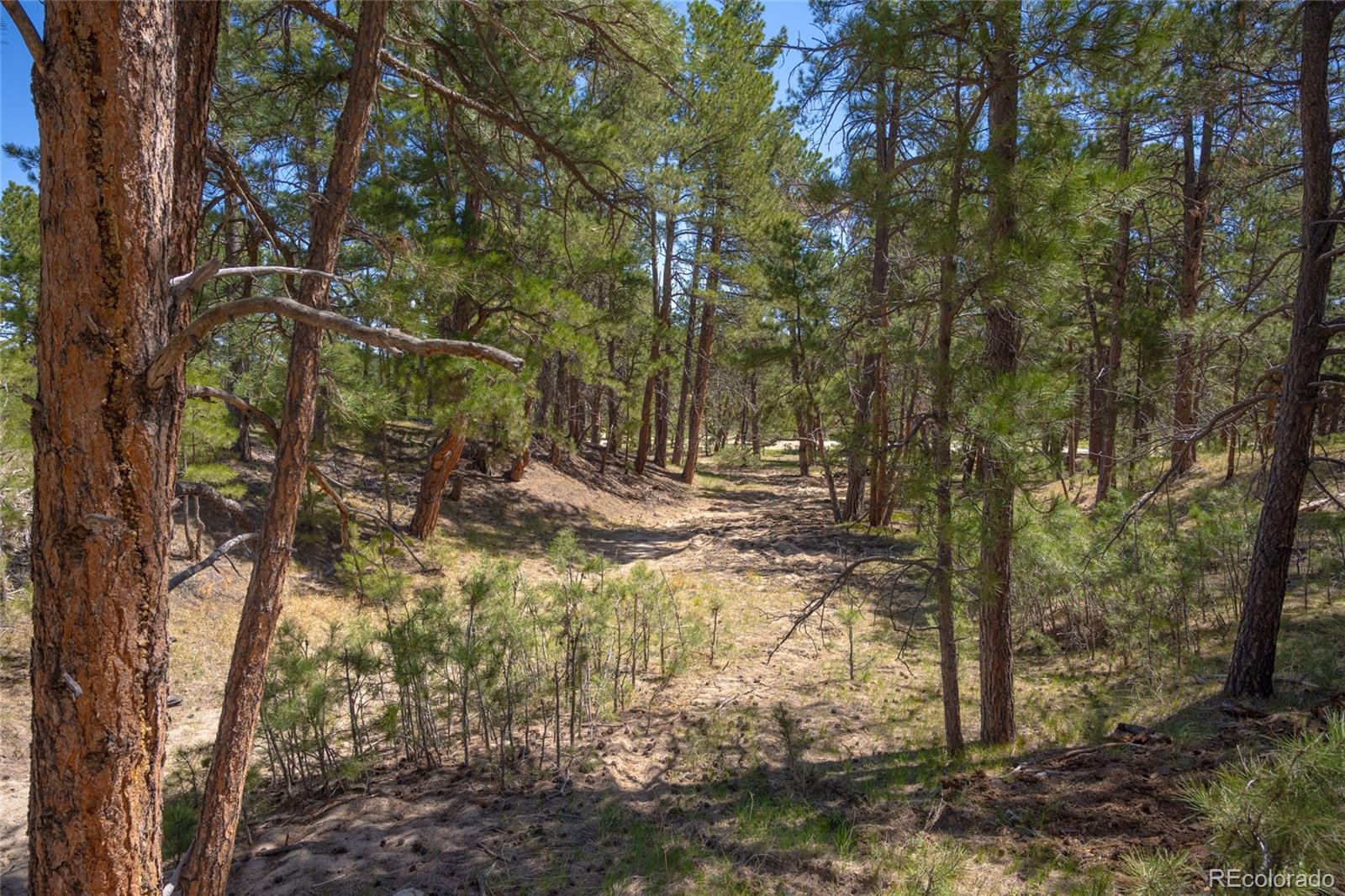 39832 Onyx Trail