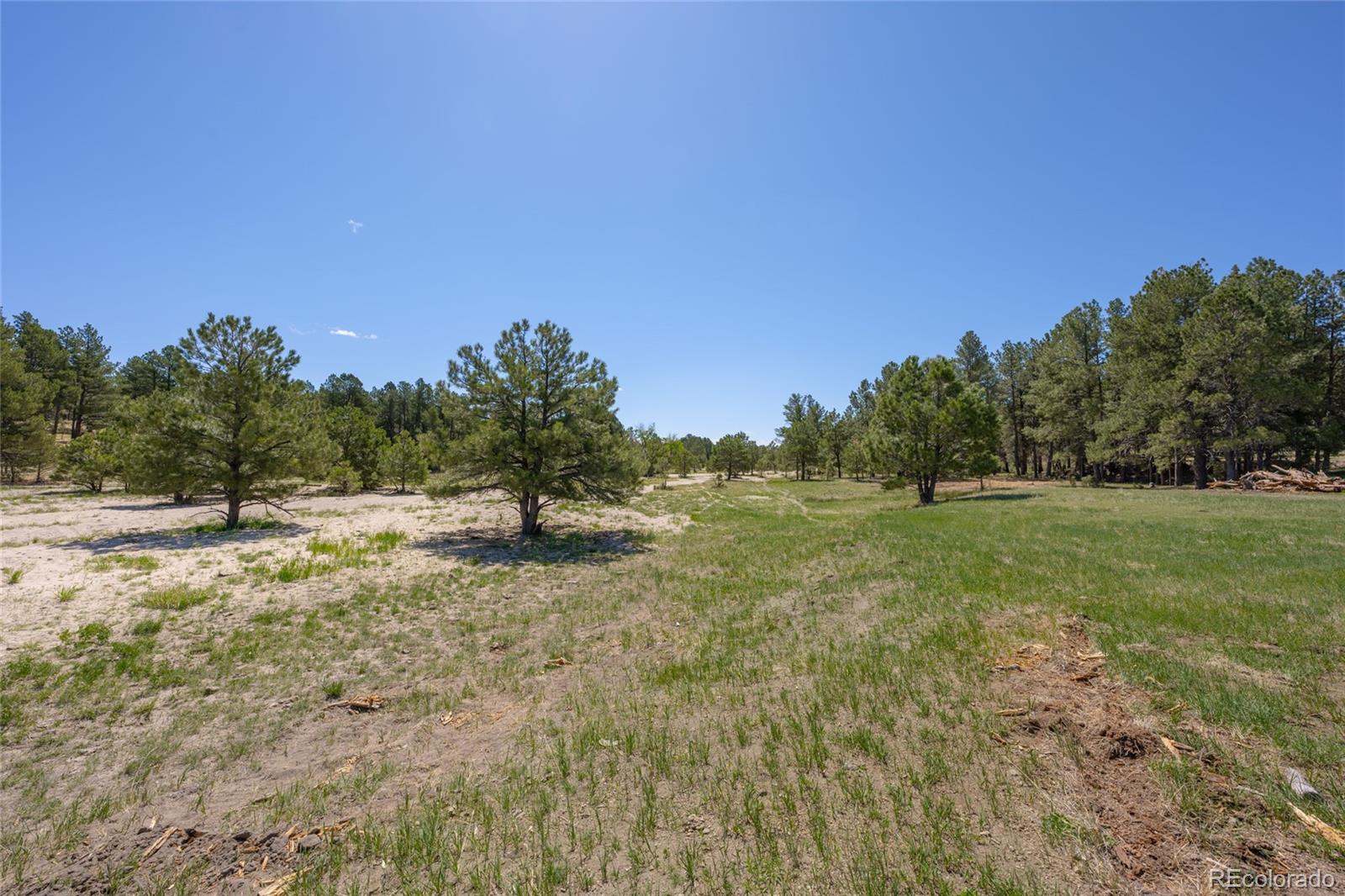 39832 Onyx Trail