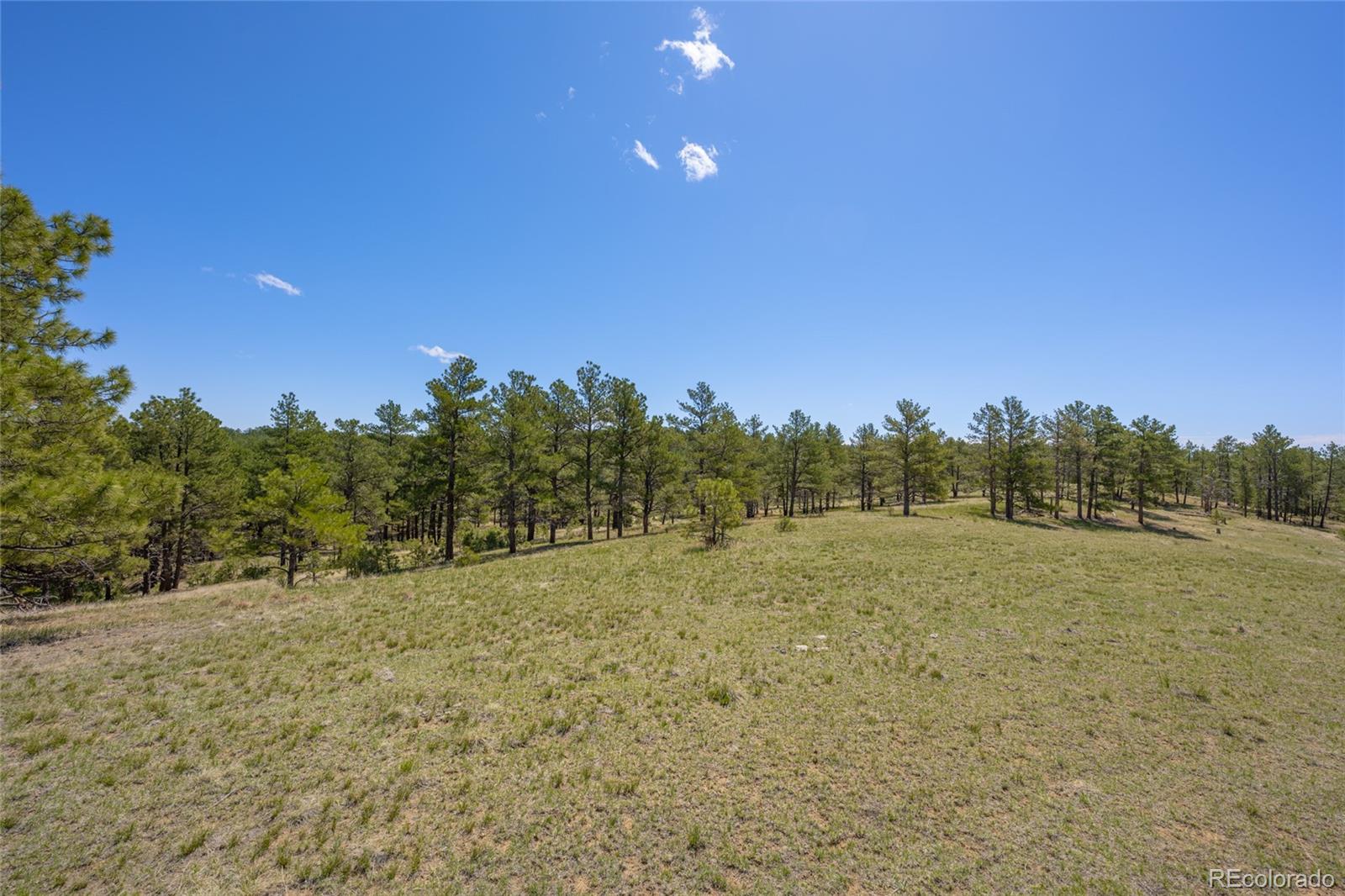 39832 Onyx Trail