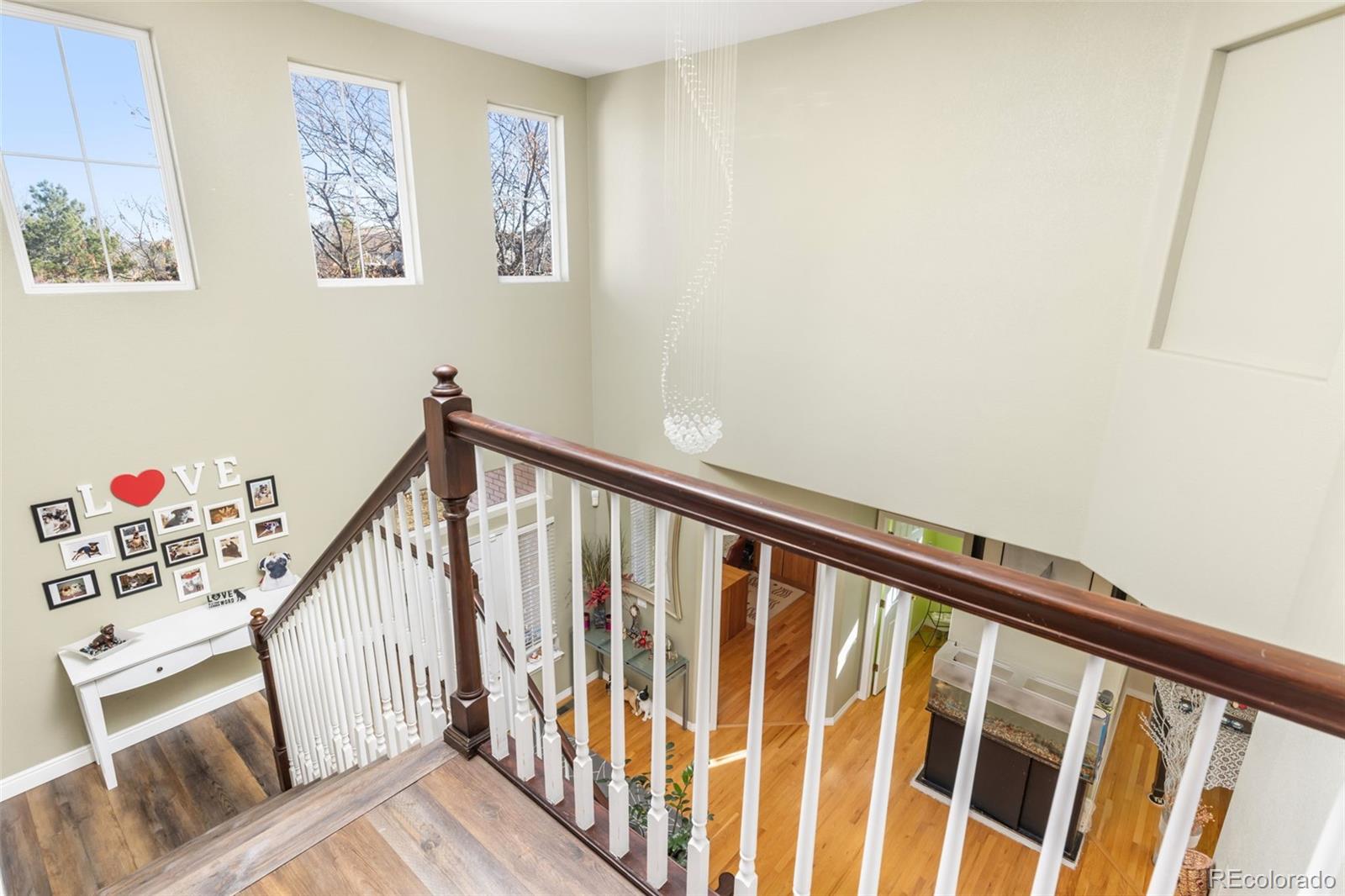 10899 Bobcat Terrace