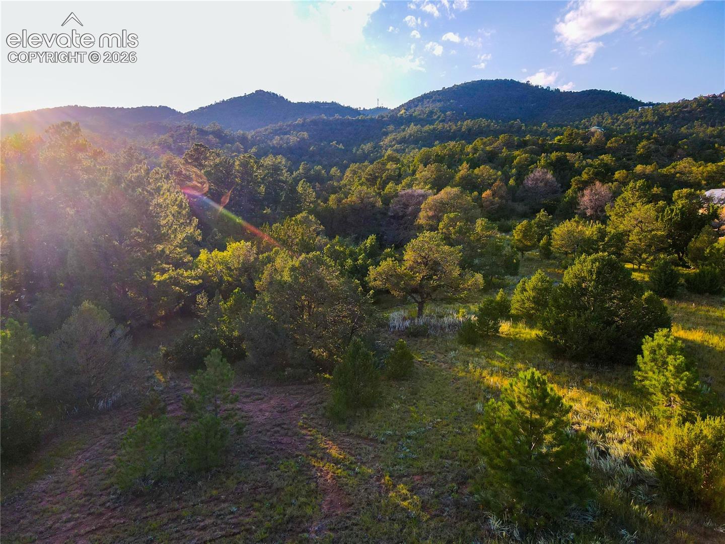 Wooded vacant land with grassy clearings and mountain ridges in warm evening light.