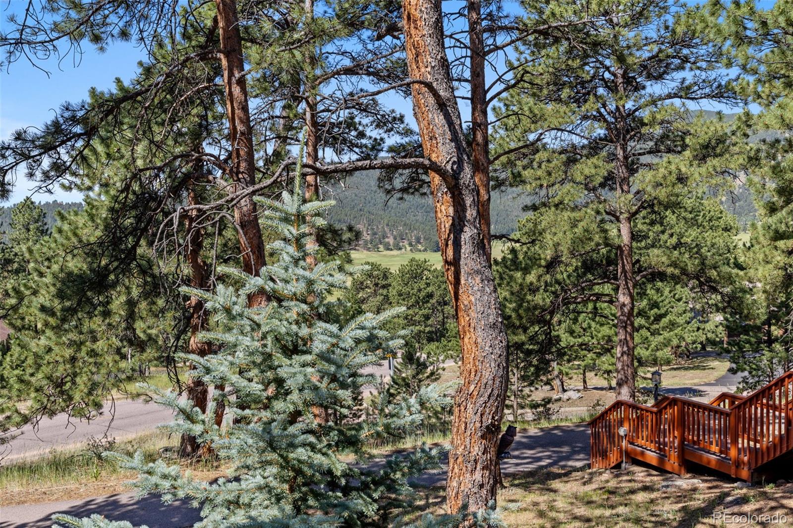 2394 El Dorado Lane