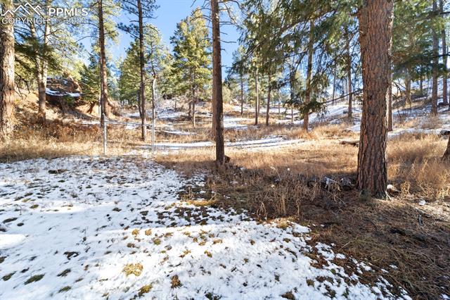 4924 W Chippewa Drive