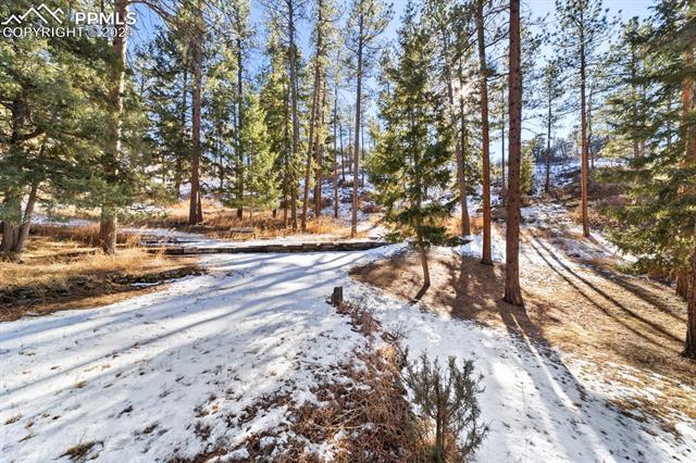 4924 W Chippewa Drive