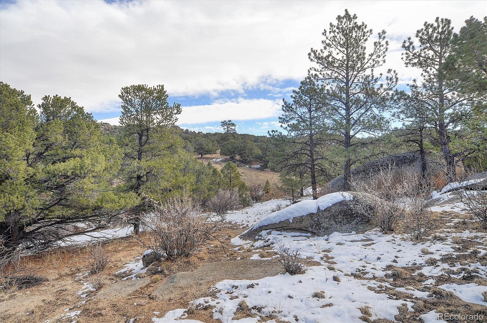 31950 Forest Service Road 376