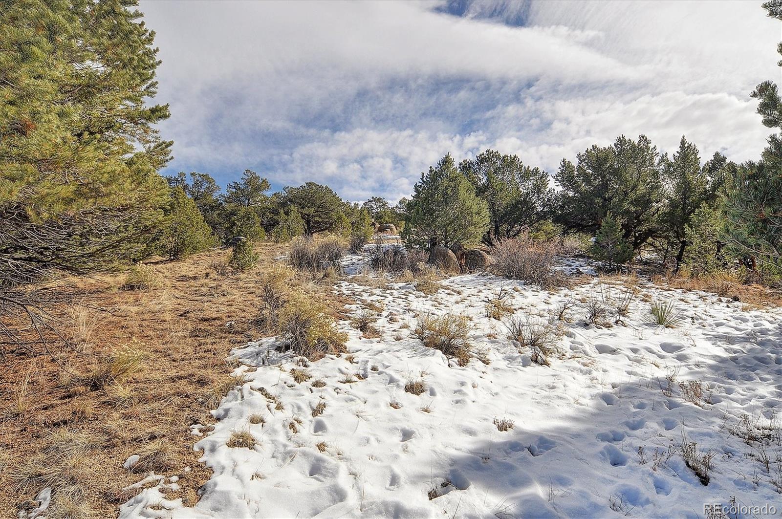 31950 Forest Service Road 376