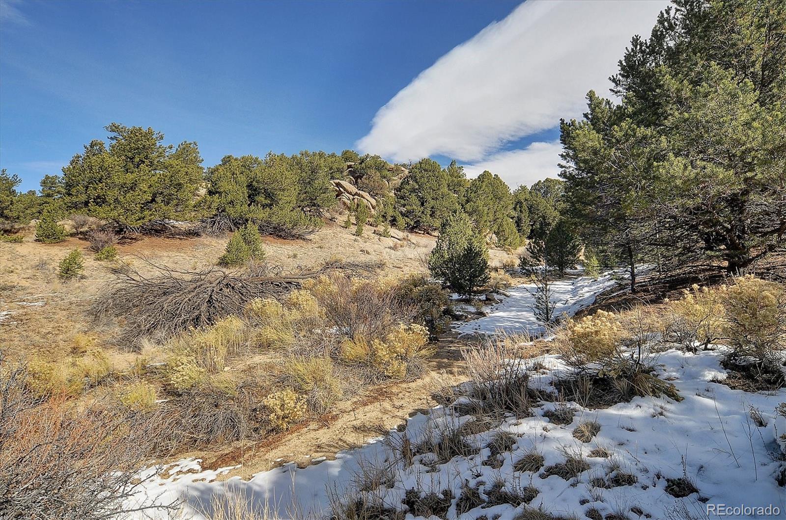 31950 Forest Service Road 376