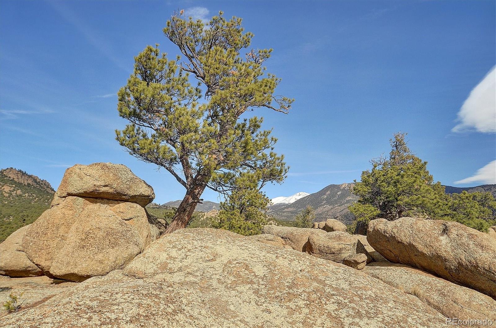 31950 Forest Service Road 376