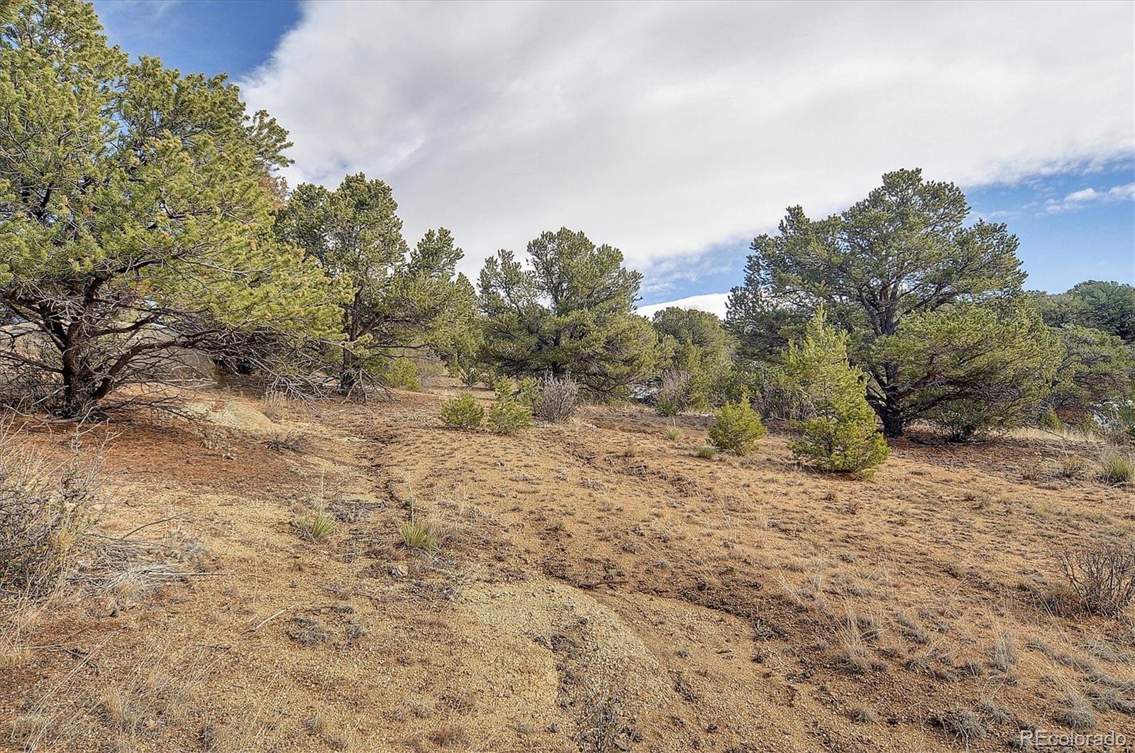 31950 Forest Service Road 376